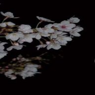 Багдаша Краймз