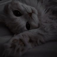 Вадим Діловій